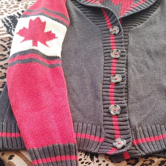 Silvery Lake Gray and Red Cardigan Sweater Sz Sm - Picture 3 of 16